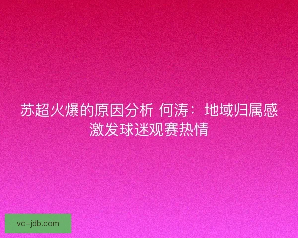 苏超火爆的原因分析 何涛：地域归属感激发球迷观赛热情